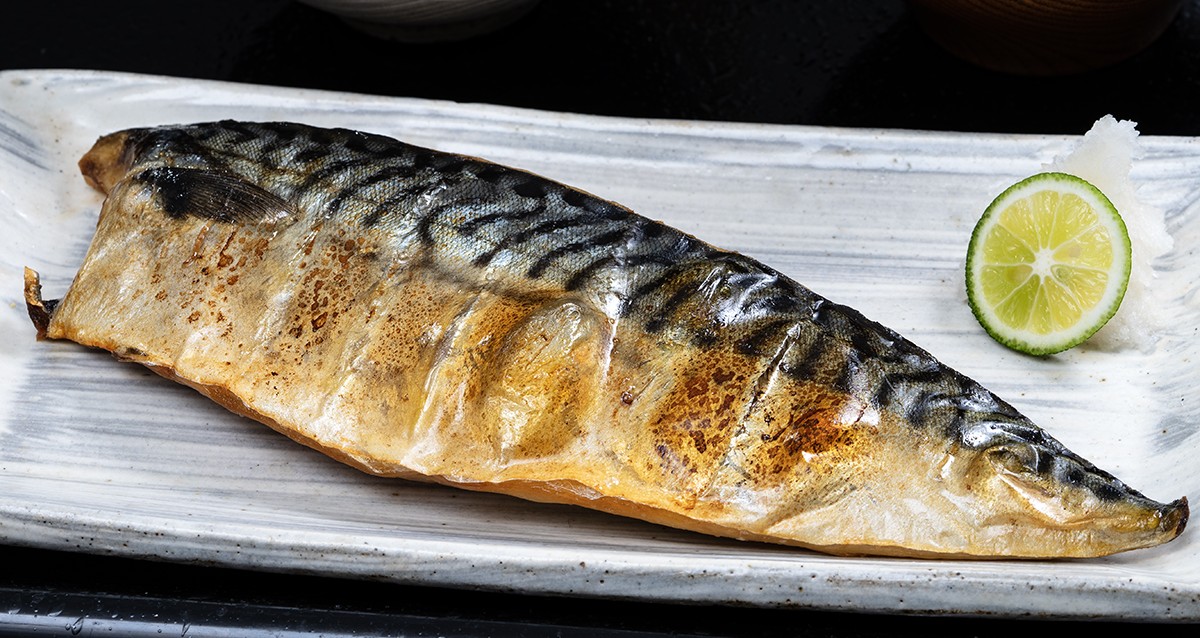 灰干し熟成干物 特大さば