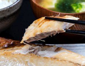 特大サバの試食