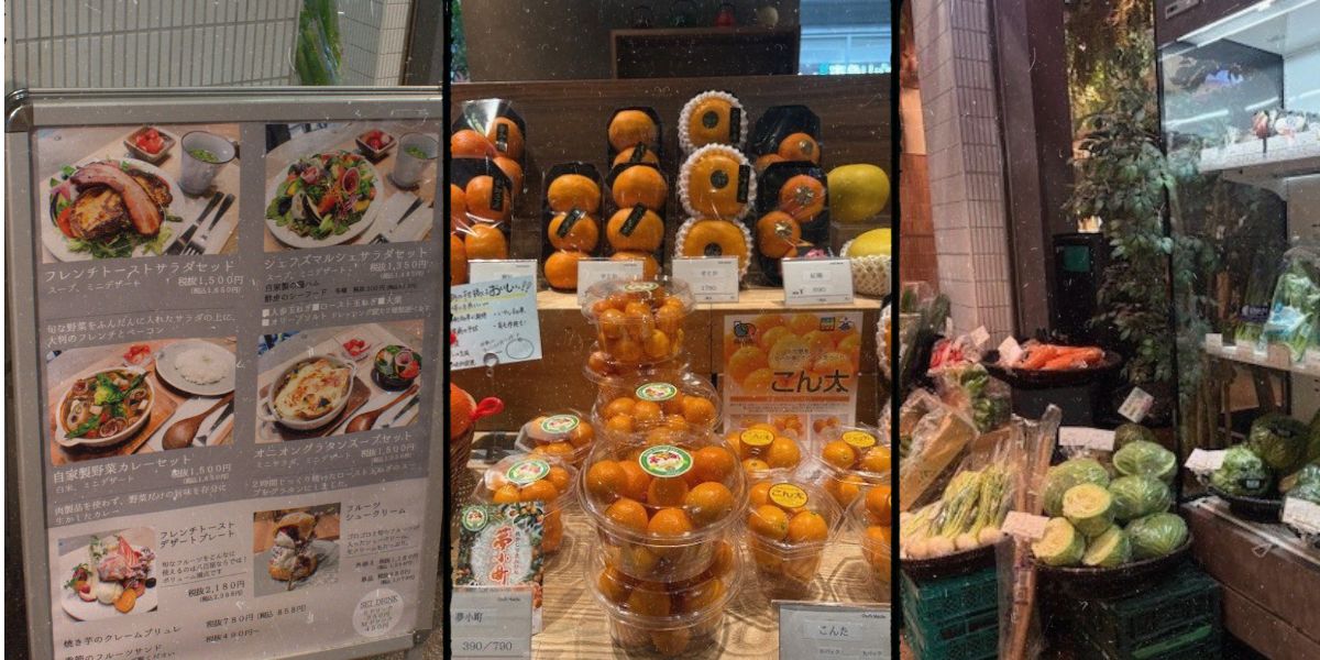 色とりどりの野菜や果物