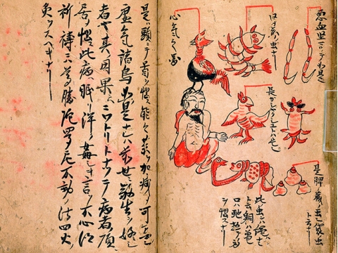 コラム／私のイチオシコレクション－朝日マリオン・コム－