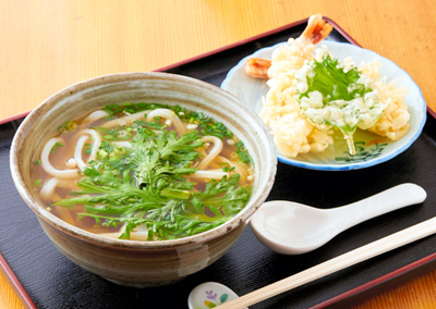 「伊吹家」の天ぷらうどん