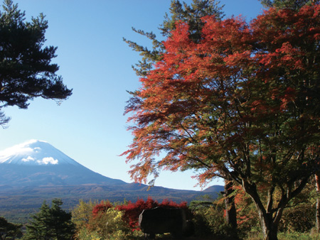 紅葉台の広場から富士を望む。
