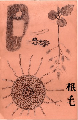 宮沢賢治記念館