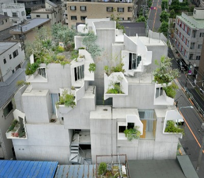 Ｔｒｅｅ－ｎｅｓｓ　Ｈｏｕｓｅ（東京都豊島区）