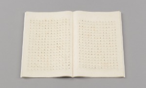 山田愛子「眠らない本シリーズ『発芽を待ちつづける種子・たんぽぽ』」　2010年　24・1×33・1×1・1センチ