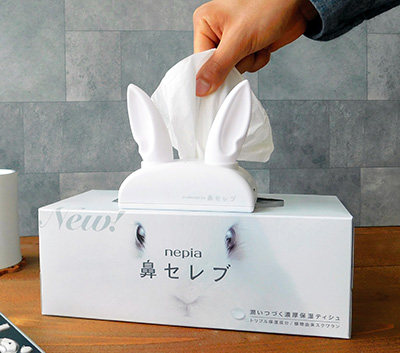 ブームの卵