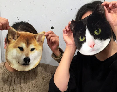 ブームの卵