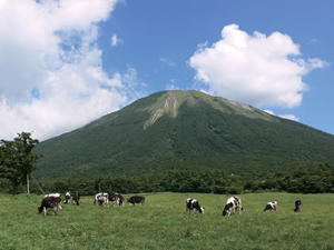 西から見た姿は富士山に似ていると言われる。のんびり草をはむ牛の姿も