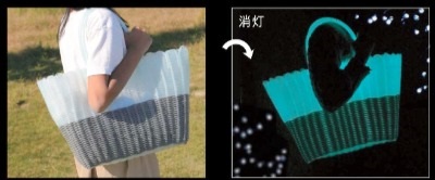 ブームの卵