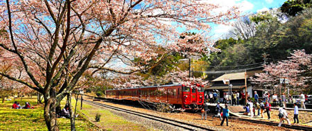 大畑（おこば）駅