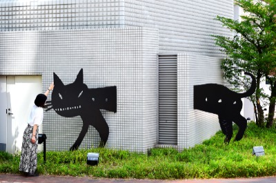 壁ぬけ猫　松永真作