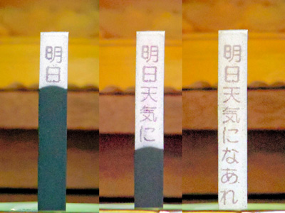 ブームの卵