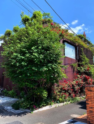 ＩＲＯＮＨＯＵＳＥ（アイアンハウス）（東京都世田谷区）