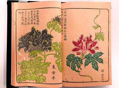 「都鄙秋興」