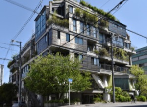 建物全体を約１千平方メートルの植栽が覆う。季節ごとに約２０種の野鳥が飛来、昆虫や小動物のすみかにもなっている 