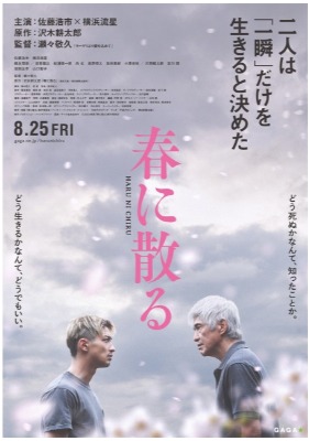 (C)2023映画『春に散る』製作委員会