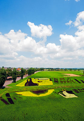 かがみいし田んぼアート　鏡石町と有志のみなさん作（福島県鏡石町）