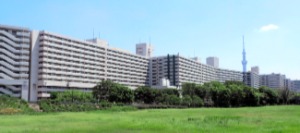 都営白鬚（しらひげ）東アパートほか（東京都墨田区）