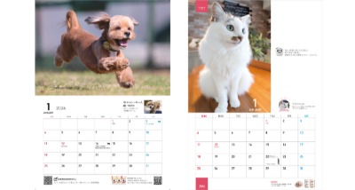マーケティングパートナー「POCHI　アニバーサリーカレンダー」「tama　オリジナルカレンダー」