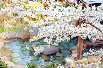 風雅の宿　長生館