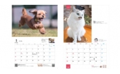 マーケティングパートナー「POCHI　アニバーサリーカレンダー」「tama　オリジナルカレンダー」